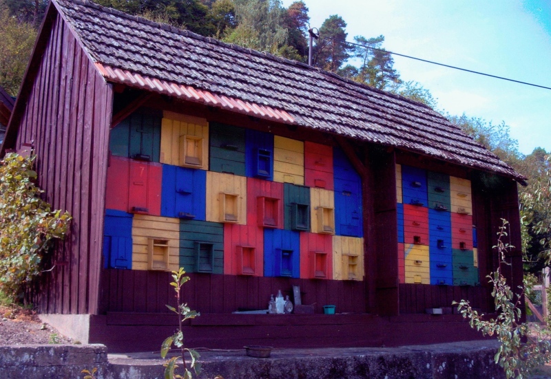 Bienenhaus von Walter Höhn in Aarbergen-Hausen 2003